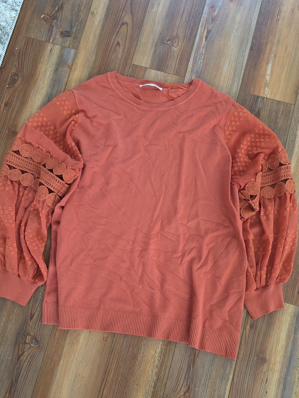Burnt Orange Crochet Sleeve Sweater